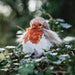 A plush bird with a striking red and white beak, designed to be soft and appealing for children.