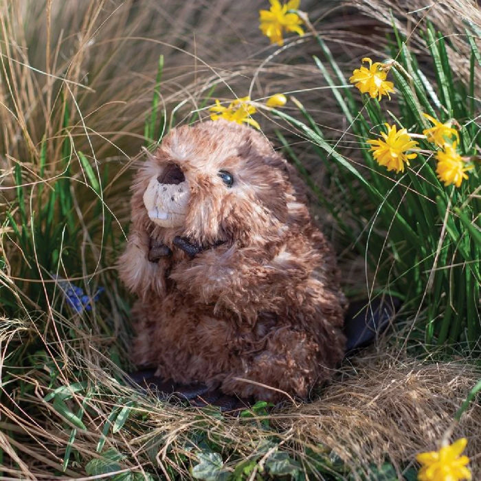 Wrendale Designs Chester Beaver Character Plush, adorable soft beaver stuffed animal with charming woodland-inspired details.