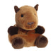 Angled view of Palm Pals Sid Capybara plush highlighting cute facial details