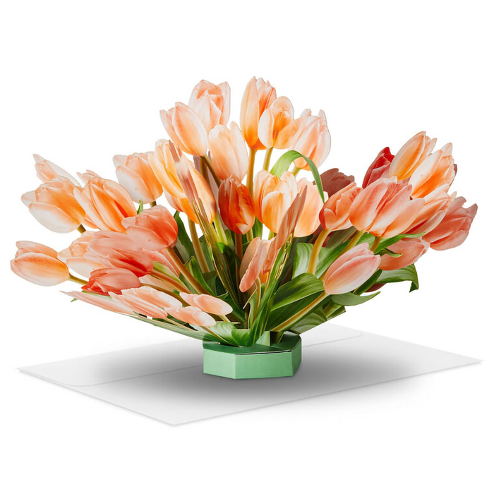 Hallmark : Build-a-Bouquet Pop-Up Paper Flowers