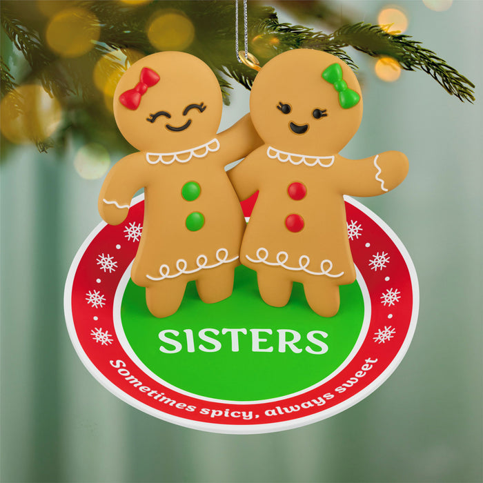 Hallmark : 2026 Keepsake Sweet and Spicy Sisters (293)