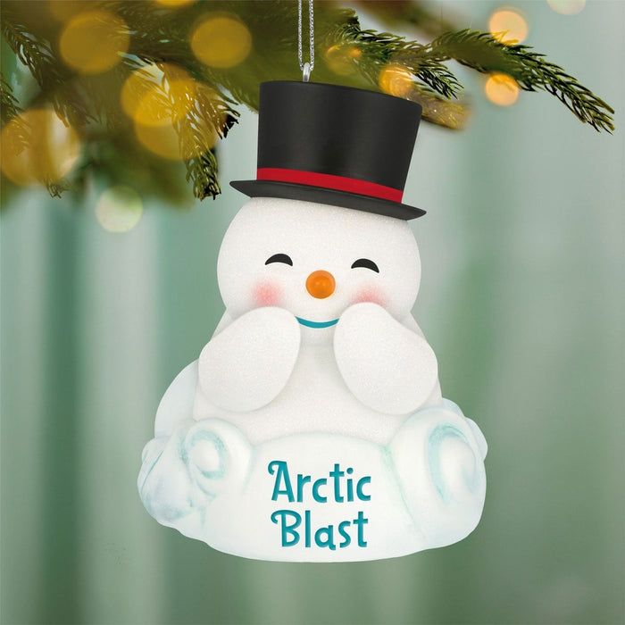 Hallmark : 2026 Keepsake Arctic Blast (25)
