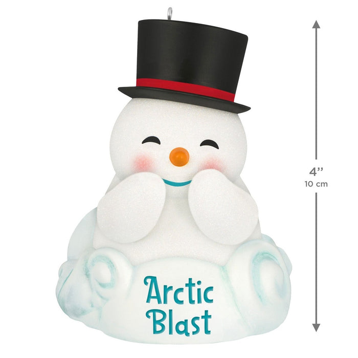 Hallmark : 2026 Keepsake Arctic Blast (25)