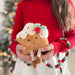 Child holding a plush toy resembling a Christmas sugar cookie with a decorated tree in the background