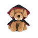 Dracu-Dog Plush featuring an adorable dog with a playful Dracula-inspired Halloween design