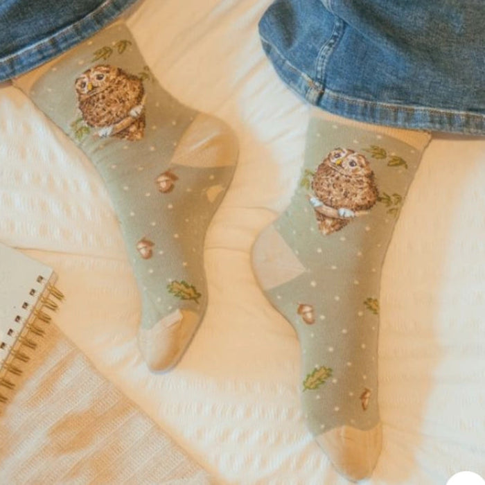 Wrendale Designs Treetops Owl Socks featuring a charming woodland owl design