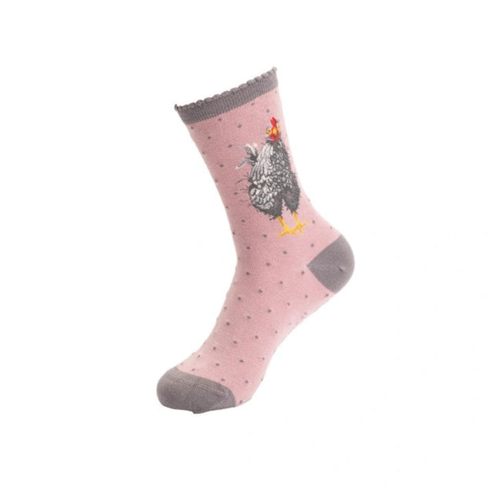 Wrendale Designs Curious Hen Chicken Socks featuring a charming hen design