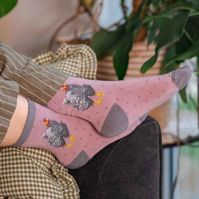Wrendale Designs Curious Hen Chicken Socks featuring a charming hen design