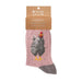 Wrendale Designs Curious Hen Chicken Socks featuring a charming hen design