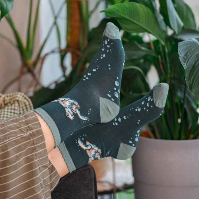 Wrendale Designs Swimming School Turtle Socks featuring a charming turtle design