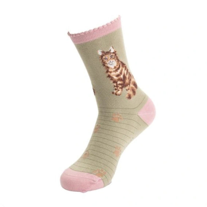 Wrendale Designs Feline Fabulous Cat Socks featuring a charming cat design