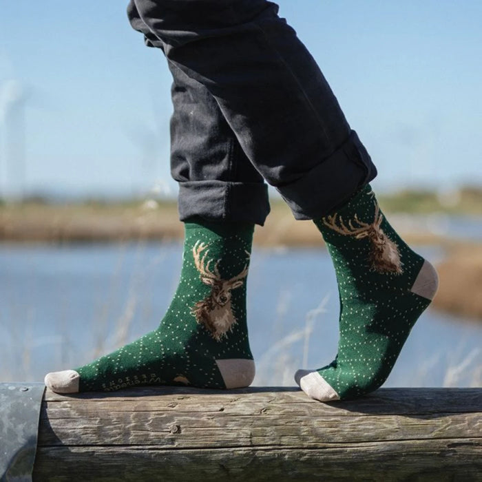Wrendale : Portrait of a Stag' Stag Men's Socks