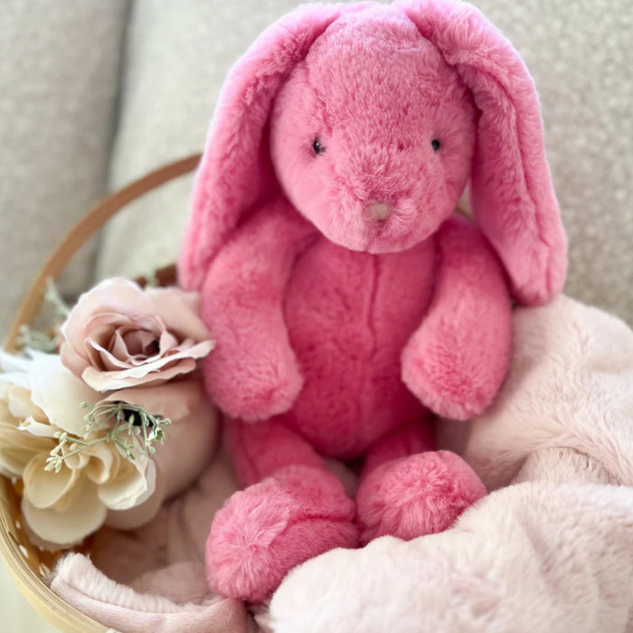 Its sweet soft pink suede-like nose and shiny little eyes make it irresistibly charming
