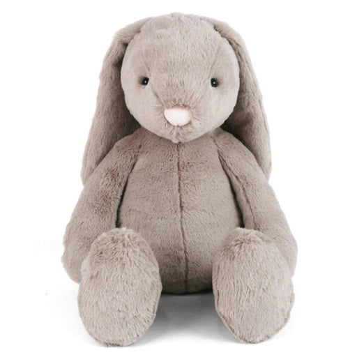 A large soft grey bundle of fluff who's irresistibly snuggly. 