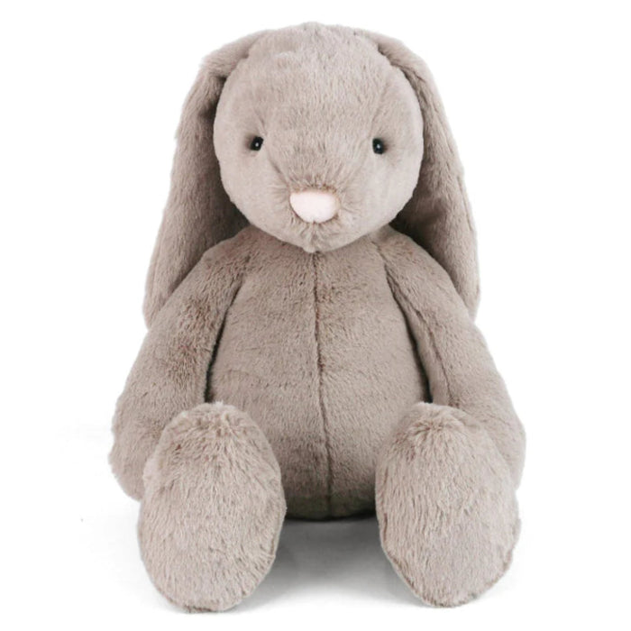 A large soft grey bundle of fluff who's irresistibly snuggly. 