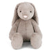 A large soft grey bundle of fluff who's irresistibly snuggly. 