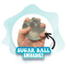 Hand holding a gray stress ball with text 'SUGAR BALL INSIDE!' on a light blue background