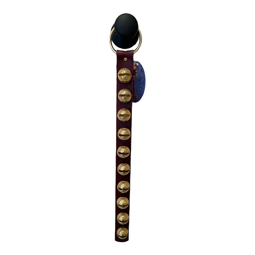 Dog collar with gold studs on a white background