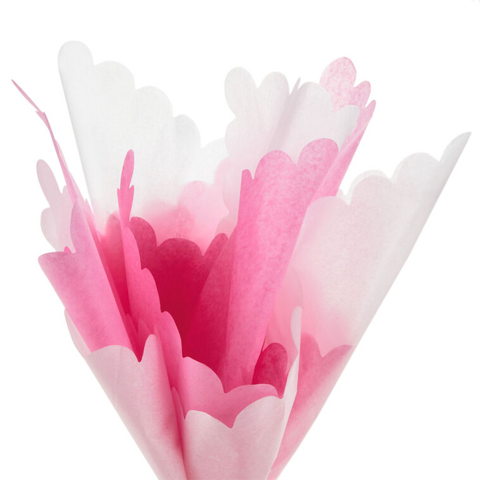 Hallmark : Scalloped Solid Pink and White 2-Pack Tissue Paper, 4 sheets