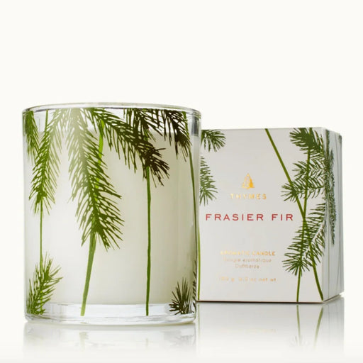 Pine Needle 6.5oz Frasier Fir candle with a fresh evergreen scent for cozy home fragrance.