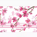 Cherry blossom branch watercolor design wrap for Tervis stainless steel tumbler.