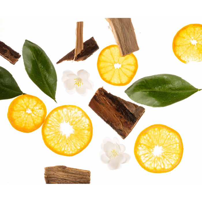 Citrus slices, leaves, and wood pieces on a white background