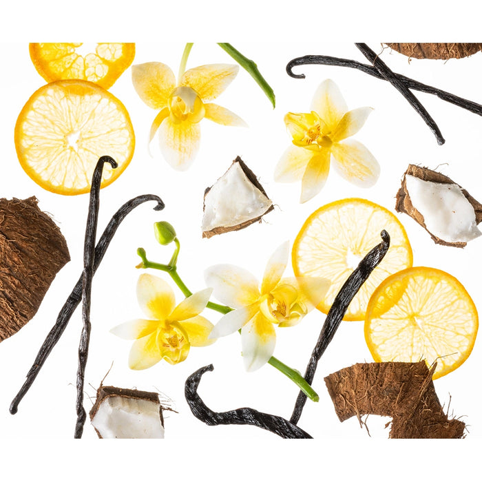 Vanilla Blossom scent ingredients — vanilla beans, coconut, and citrus slices.
