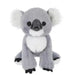 Ganz : Plush Koala 8.5"
