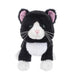 A cozy cuddle companion who loves soft purrs, warm laps, and long cat naps - your new go-to snuggle buddy.