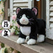 A cozy cuddle companion who loves soft purrs, warm laps, and long cat naps - your new go-to snuggle buddy.