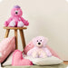 Warmies Love Bear Plush displayed in a cozy bedroom setting, showing soft lavender-scented comfort for relaxation and bedtime