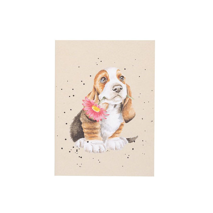 Wrendale Designs 'Just for You' Basset Hound Small Notebook with cute dog holding pink daisy illustration on beige cover