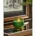 Yankee Candle 'Balsam & Cedar' on a reflective surface with a blurred background