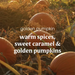 Golden pumpkins in a field with text overlay: "golden pumpkin — warm spices, sweet caramel & golden pumpkins"