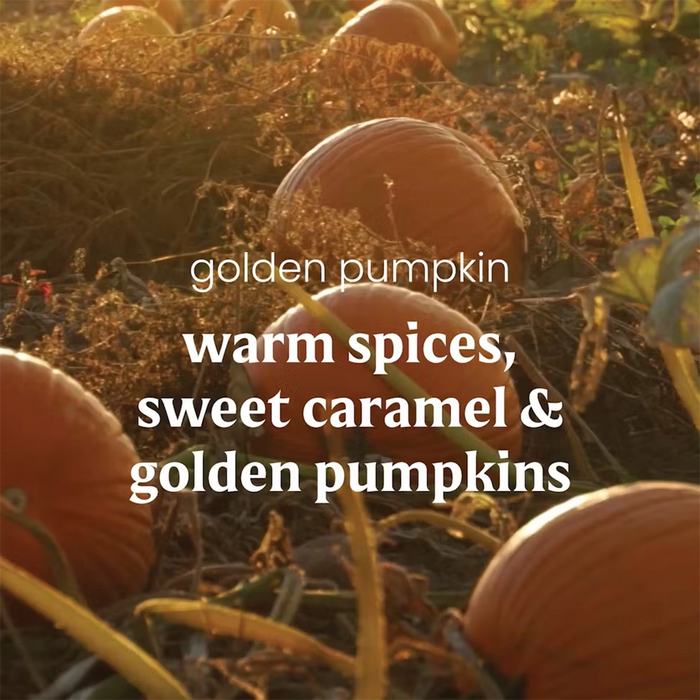 Pumpkins in a field with text overlay about fragrance notes.