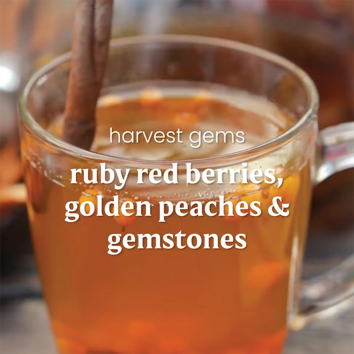 Glass mug of tea with cinnamon stick and berries, labeled 'harvest gems' on a blurred background.