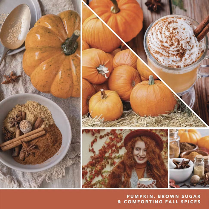 Flat lay of pumpkins, cinnamon sticks, and fall spices – fragrance inspiration for Yankee Candle Spiced Pumpkin.