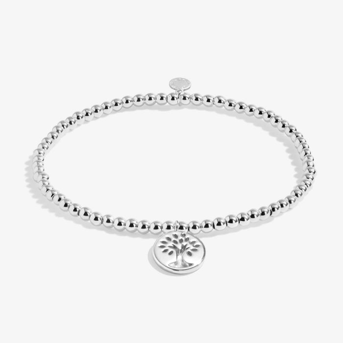A Little Family silver-tone beaded bracelet with a tree-inspired charm and heartfelt family message card.