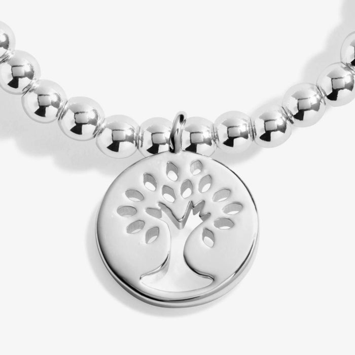 A Little Family silver-tone beaded bracelet with a tree-inspired charm and heartfelt family message card.