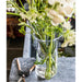 A clear vase containing water and fresh green leaves, positioned on a simple table.