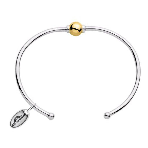 Silver bracelet with a gold bead on a white background