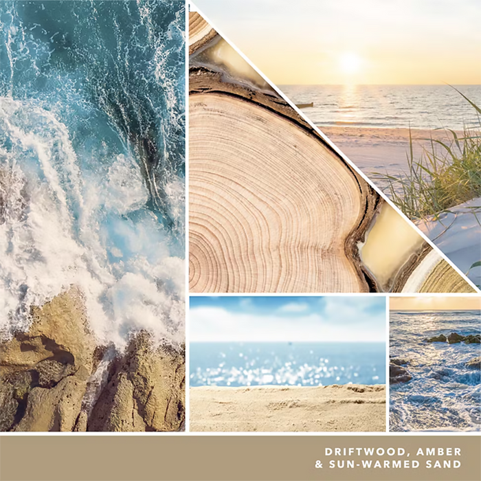 Yankee Candle : Signature Small Tumbler Candle in Amber & Sandalwood