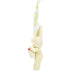 Enesco : Snowbabies - Home Tweet Home - Ornament - Enesco : Snowbabies - Home Tweet Home - Ornament