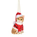 Ganz : Fleas Navidad Cat Ornaments - Assorted 1 at random. Style can not be chosen - Ganz : Fleas Navidad Cat Ornaments - Assorted 1 at random. Style can not be chosen