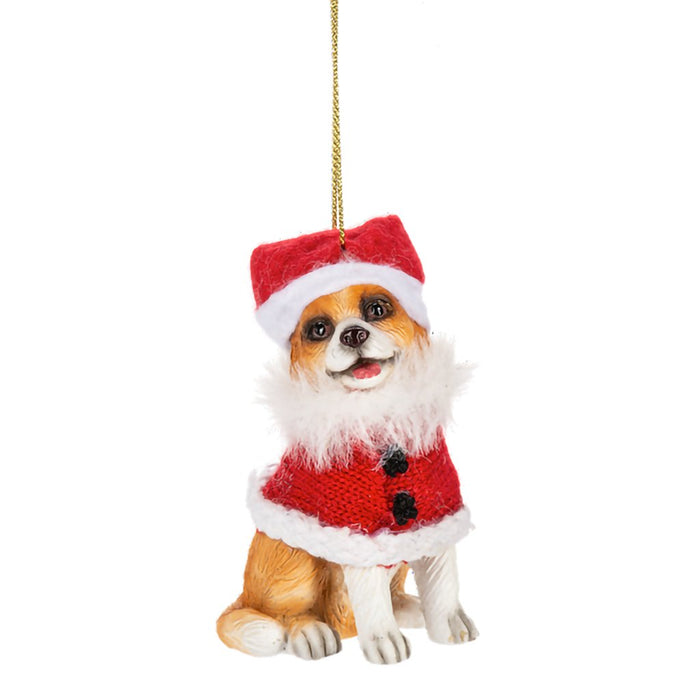 Ganz : Santa Paws is Come to Town Ornaments - Assorted 1 at random. Style can not be chosen - Ganz : Santa Paws is Come to Town Ornaments - Assorted 1 at random. Style can not be chosen