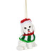 Ganz : Santa Paws is Come to Town Ornaments - Assorted 1 at random. Style can not be chosen - Ganz : Santa Paws is Come to Town Ornaments - Assorted 1 at random. Style can not be chosen