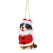 Ganz : Santa Paws is Come to Town Ornaments - Assorted 1 at random. Style can not be chosen - Ganz : Santa Paws is Come to Town Ornaments - Assorted 1 at random. Style can not be chosen