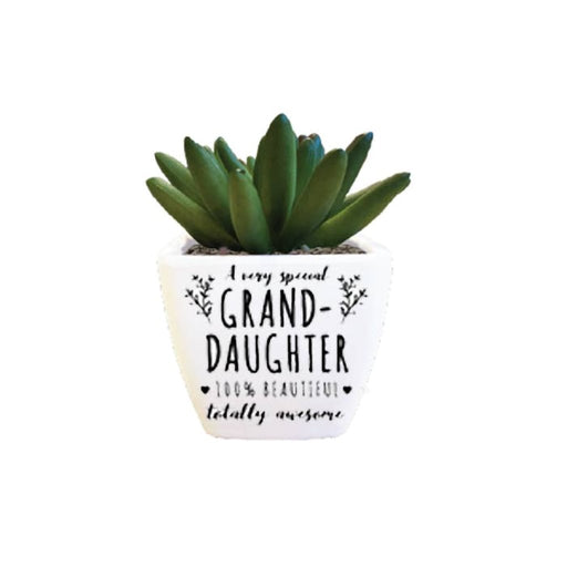 H & H Gifts : Artificial Succulent - Special Granddaughter - H & H Gifts : Artificial Succulent - Special Granddaughter