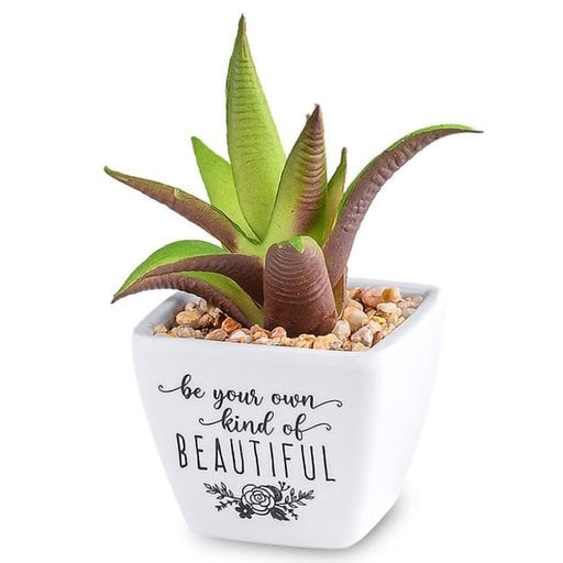 H & H Gifts : Sentiment Succulent - Be Your Own Kind of Beautiful - H & H Gifts : Sentiment Succulent - Be Your Own Kind of Beautiful