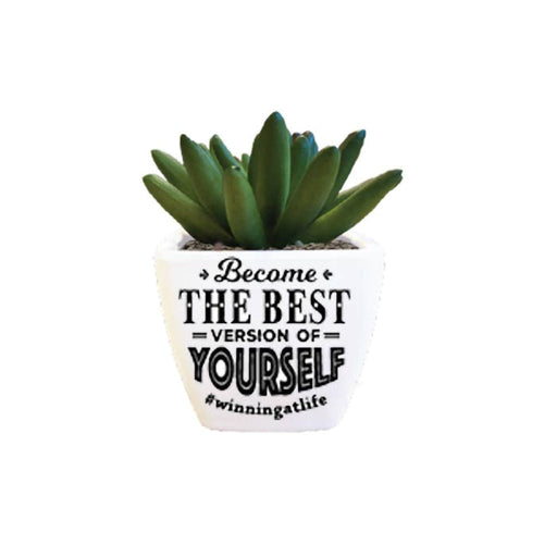 H & H Gifts : Sentiment Succulent - Become The Best Version - H & H Gifts : Sentiment Succulent - Become The Best Version